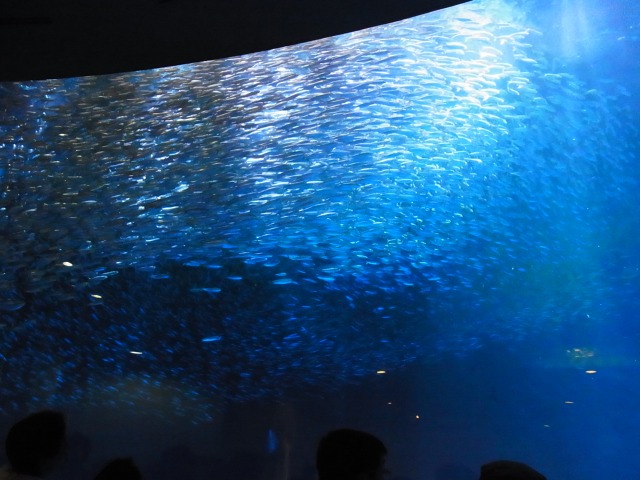 130615-176.jpg