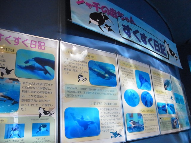 130615-94.jpg
