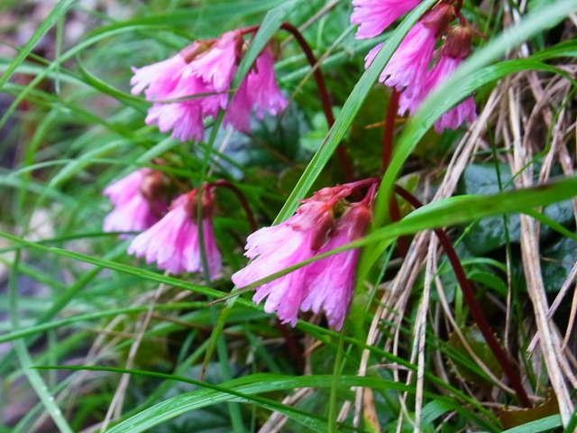 130706-70.jpg
