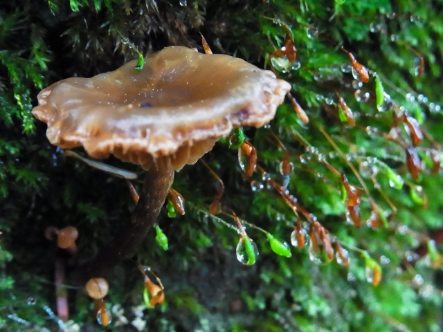 130707-21.jpg