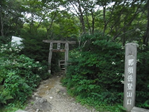 RIMG2719.jpg