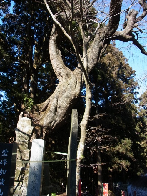 RIMG5668.jpg