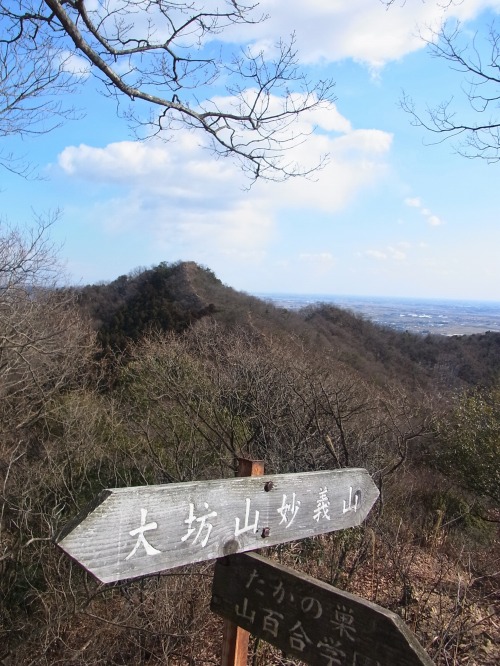 RIMG5748.jpg