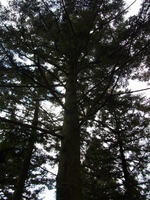 RIMG5884.jpg
