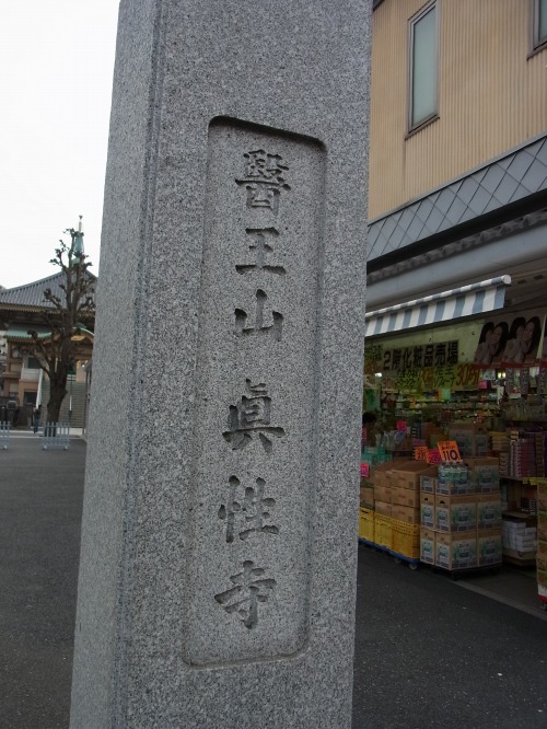 RIMG6374.jpg