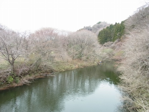 RIMG6399.jpg