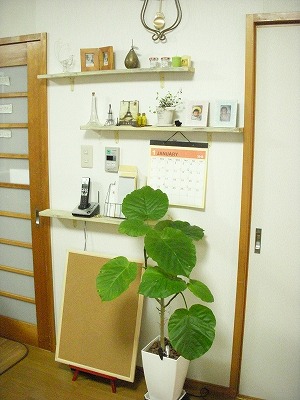 DSCN0720.jpg