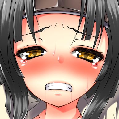 sgou.jpg