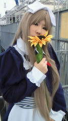 写真