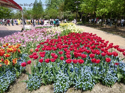 P1020451-.jpg