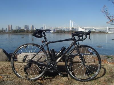 madone