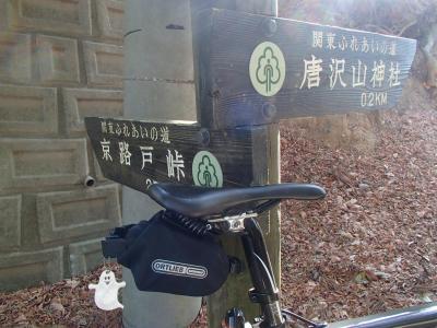 madone