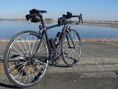 madone