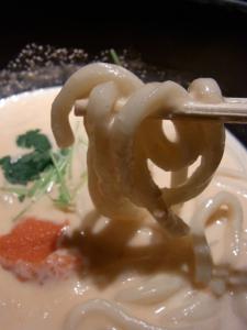 追加アップつるとんたん 新宿37