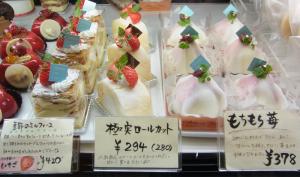 バニラの実5