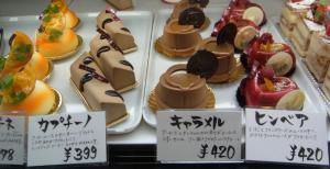 バニラの実6