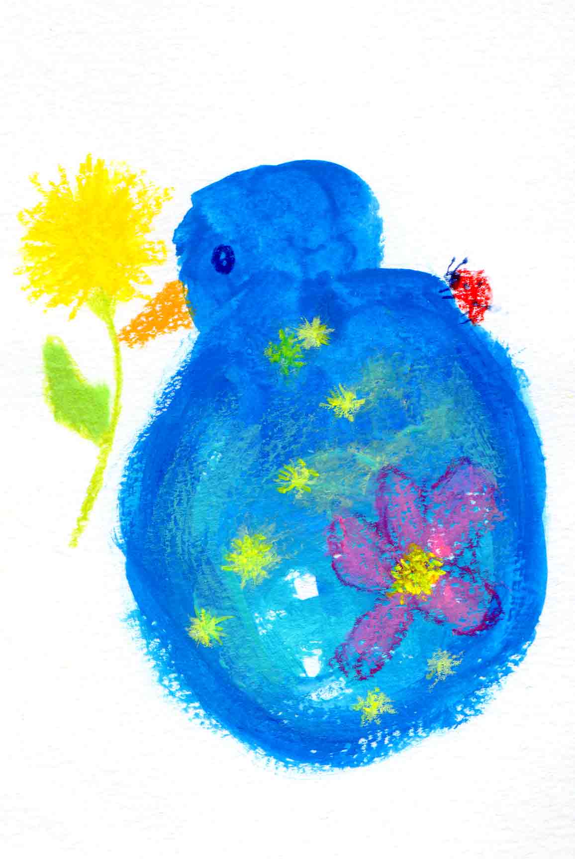 bluebird.jpg