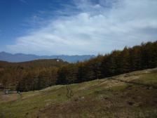 山坂