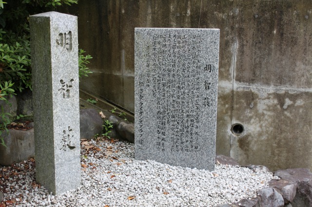 縮小IMG_3899