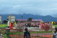 宜蘭三星銀柳祭130209