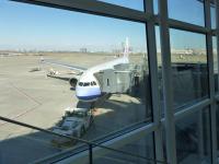 羽田空港でCI221便130225