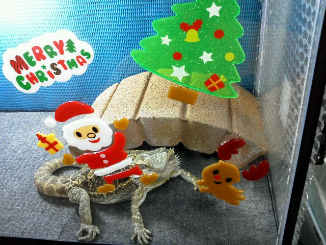 201312051512462e3.jpg