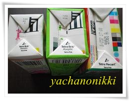 20120411テトラ底