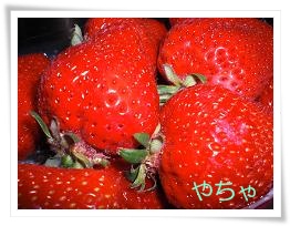 20120419あまおう