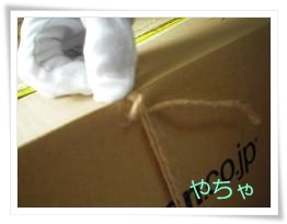 20120420ひもかけ5