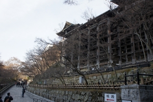 DSC01940.jpg