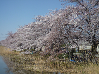 P1040426_20120409001612.png