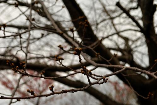 20120318-2