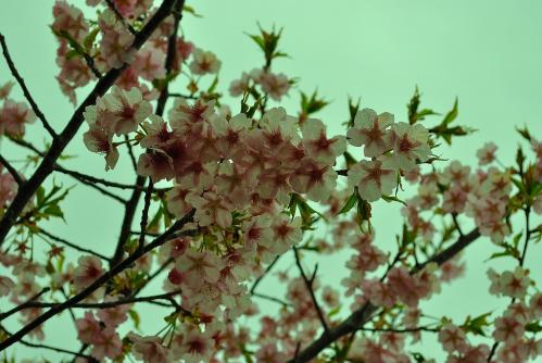 20120318-3