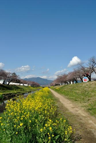 20120401-12