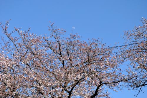 20120401-13