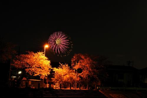 20120407-4