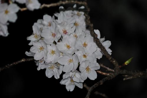 20120407-6