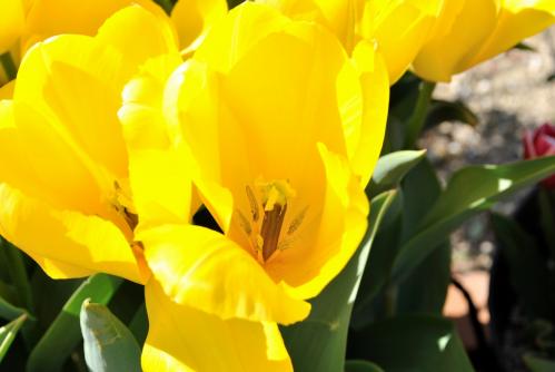20120408-7