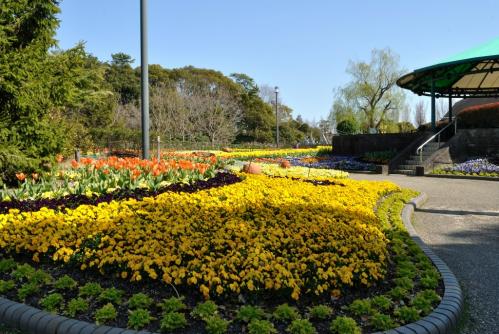 20120408-8