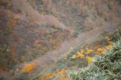 _MG_8914_20111022192137.jpg