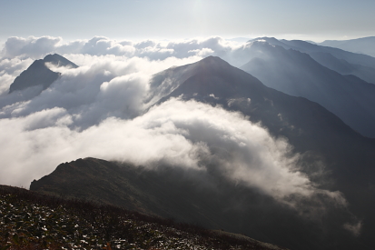 _MG_9590.jpg