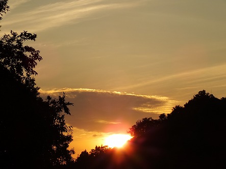 DSCF9684.jpg