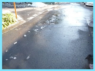 P1060070 Web 表示用 (小)