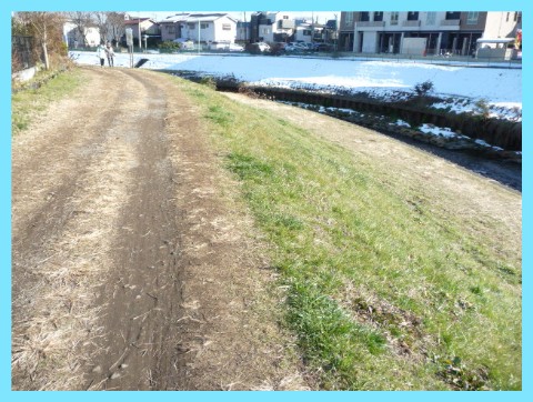 P1060089 Web 表示用 (中)
