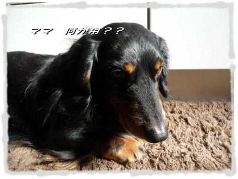 P1060264 Web 表示用 (中)