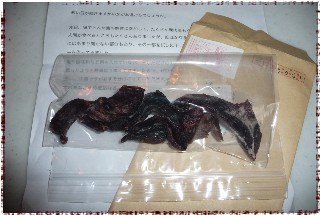 P1060345 Web 表示用 (小)