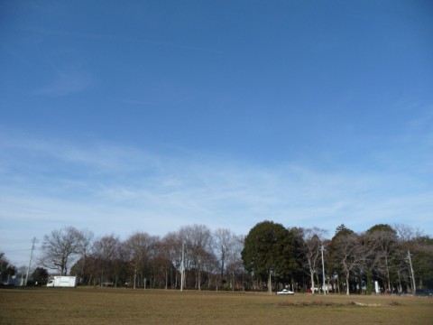 P1060348 Web 表示用 (中)