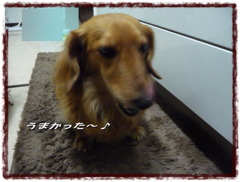 P1060393 Web 表示用 (中)