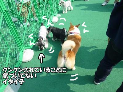 10_10+062_convert_20111011093901.jpg