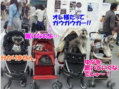10_10+152_convert_20111010100748.jpg